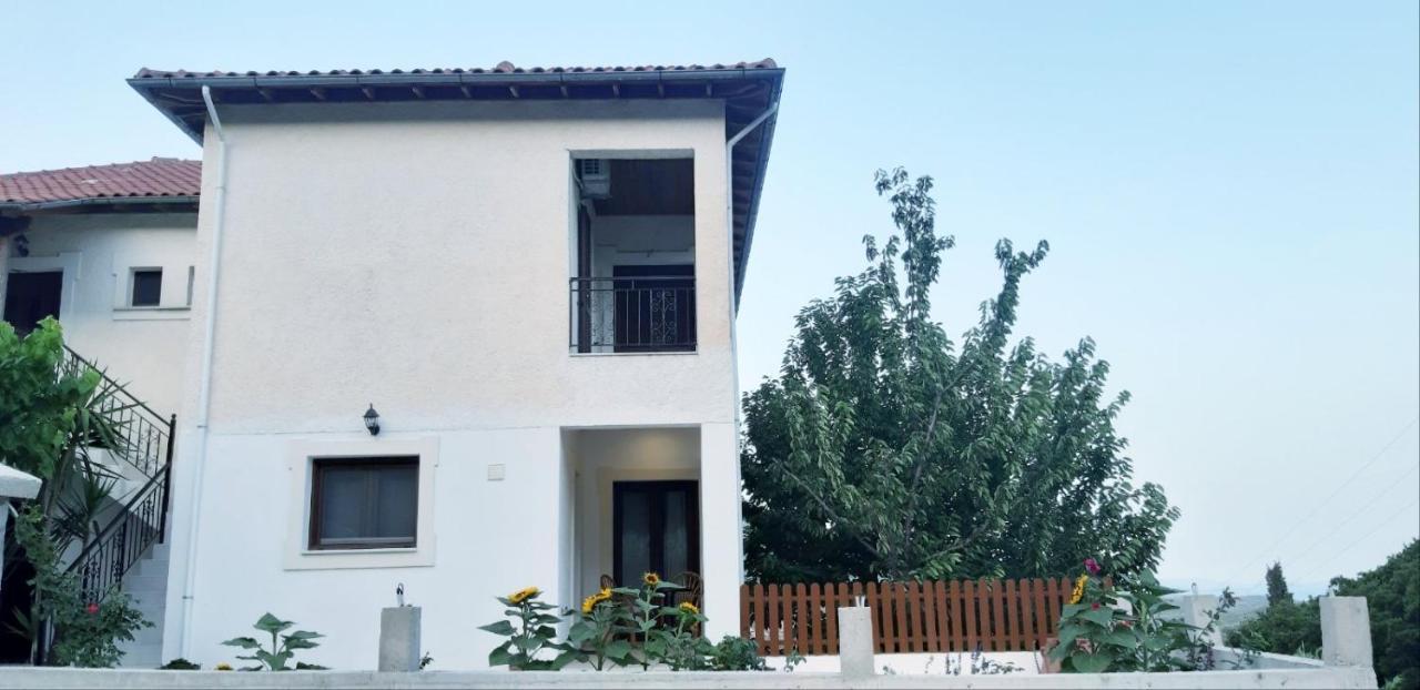 Green View Apartment Agios Petros  Exterior photo